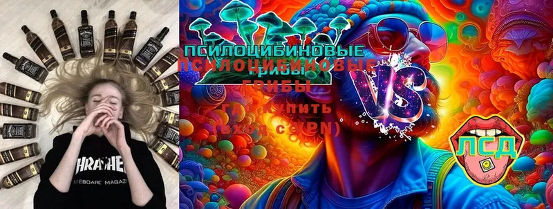 Галлюциногенные грибы Psilocybe  где купить   OMG ссылка  Удомля 